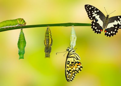 Story of Transformation (Liciana) with Joe Dispenza Method